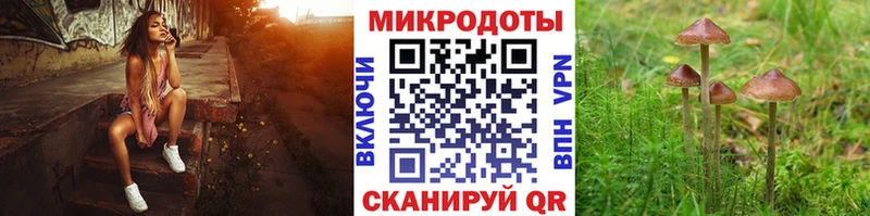 купить закладку  Грайворон  Галлюциногенные грибы мицелий 